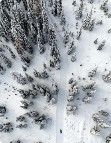AVENTURE BLANCHE